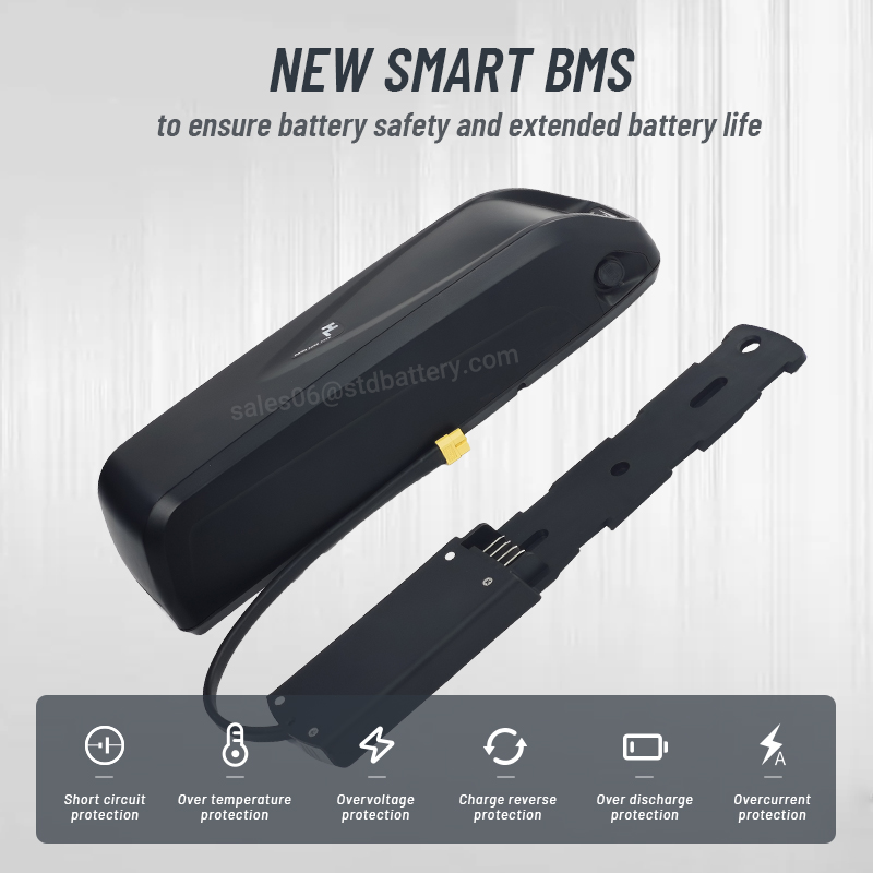 Hailong-bateria elétrica da bi - Ebike Battery 48V 20Ah Hailong avaliação e preço